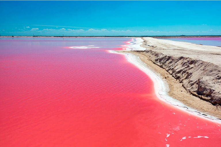 Las Coloradas : les raisons d&rsquo;y aller