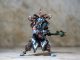 Warhammer.Jungle troll priest