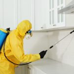 Service deratisation