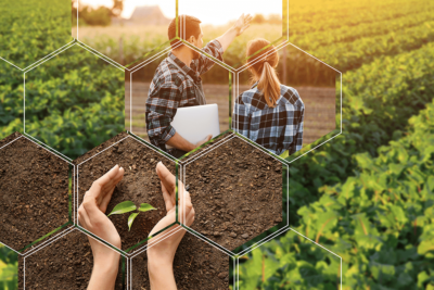 entreprise agricole