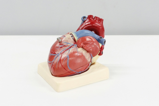 maladies cardio-vasculaires